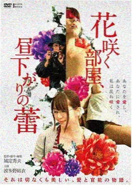 都市情感剧晚风信箱剧集封面